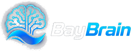 BayBrain